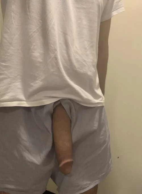 Lazy softie just hanging 🤷‍♂️