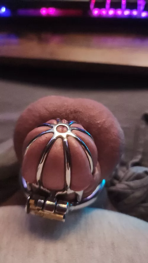 Love being caged and watching porn makes me soooo horny!!