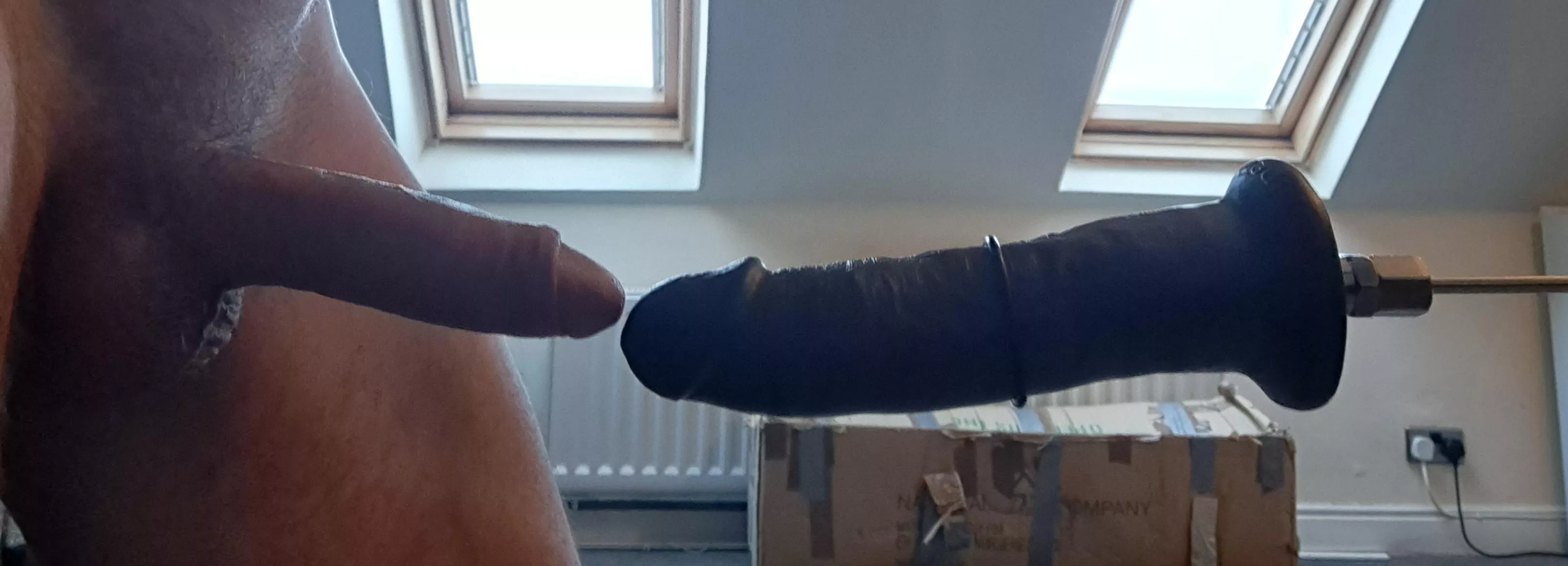 Me vs wife's new toy