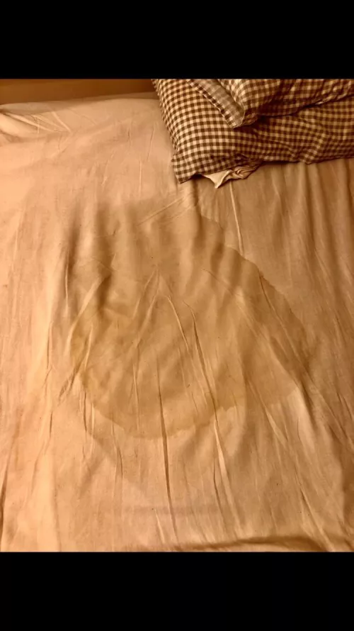 My bed looked like this when I woke up