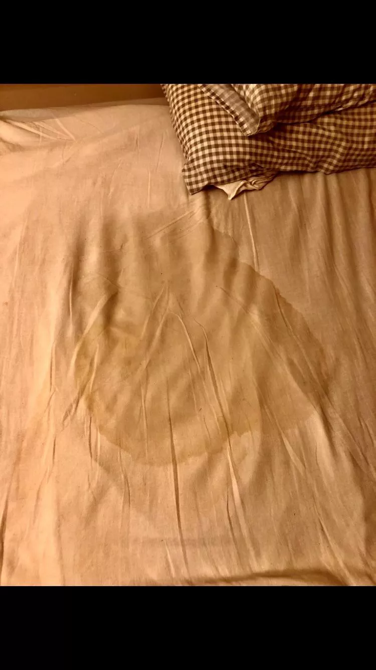 My bed looked like this when I woke up