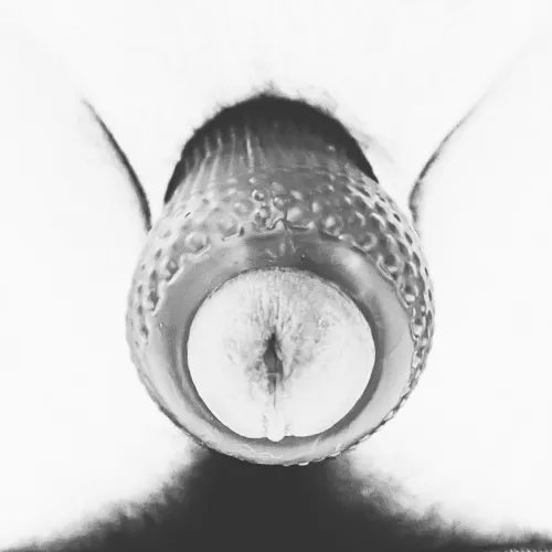 Please help me cum? On your face or ass, what you like?