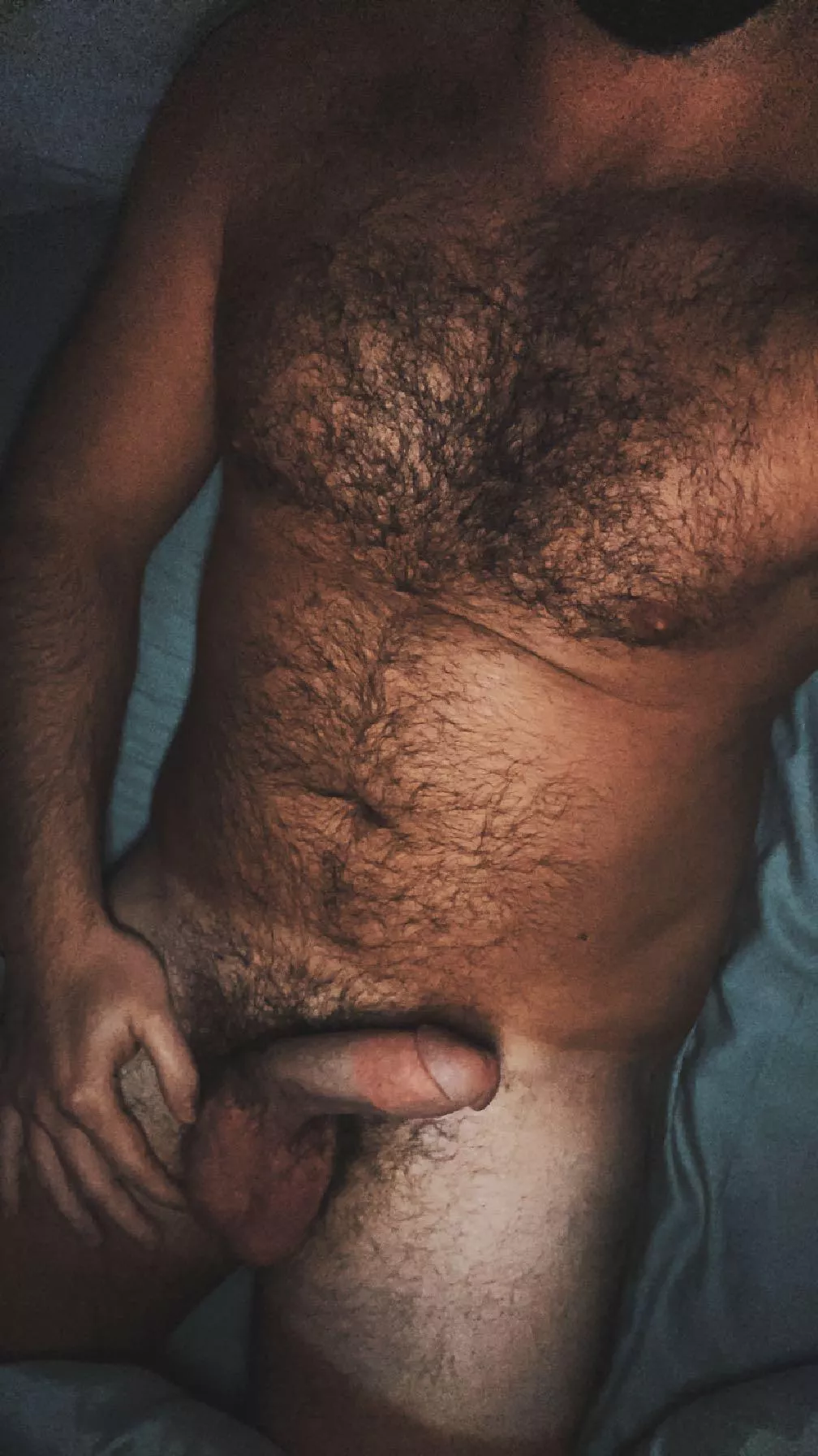 Rub my hairy chest before you suck me