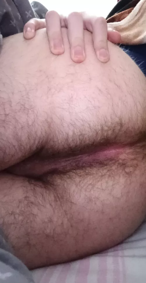 this ass needs breeding