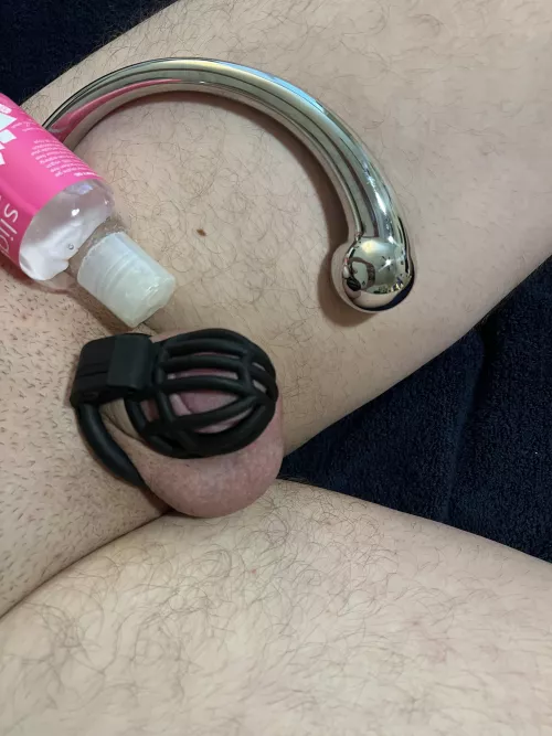 Time to milk myself silly