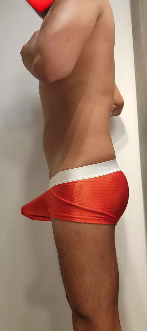 Wanted to add some holiday spirit to this subreddit. Happy Holidays from Canada. 🎁 🧑‍🎄