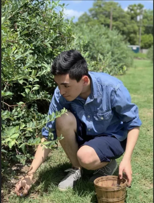 Went blueberry picking recently