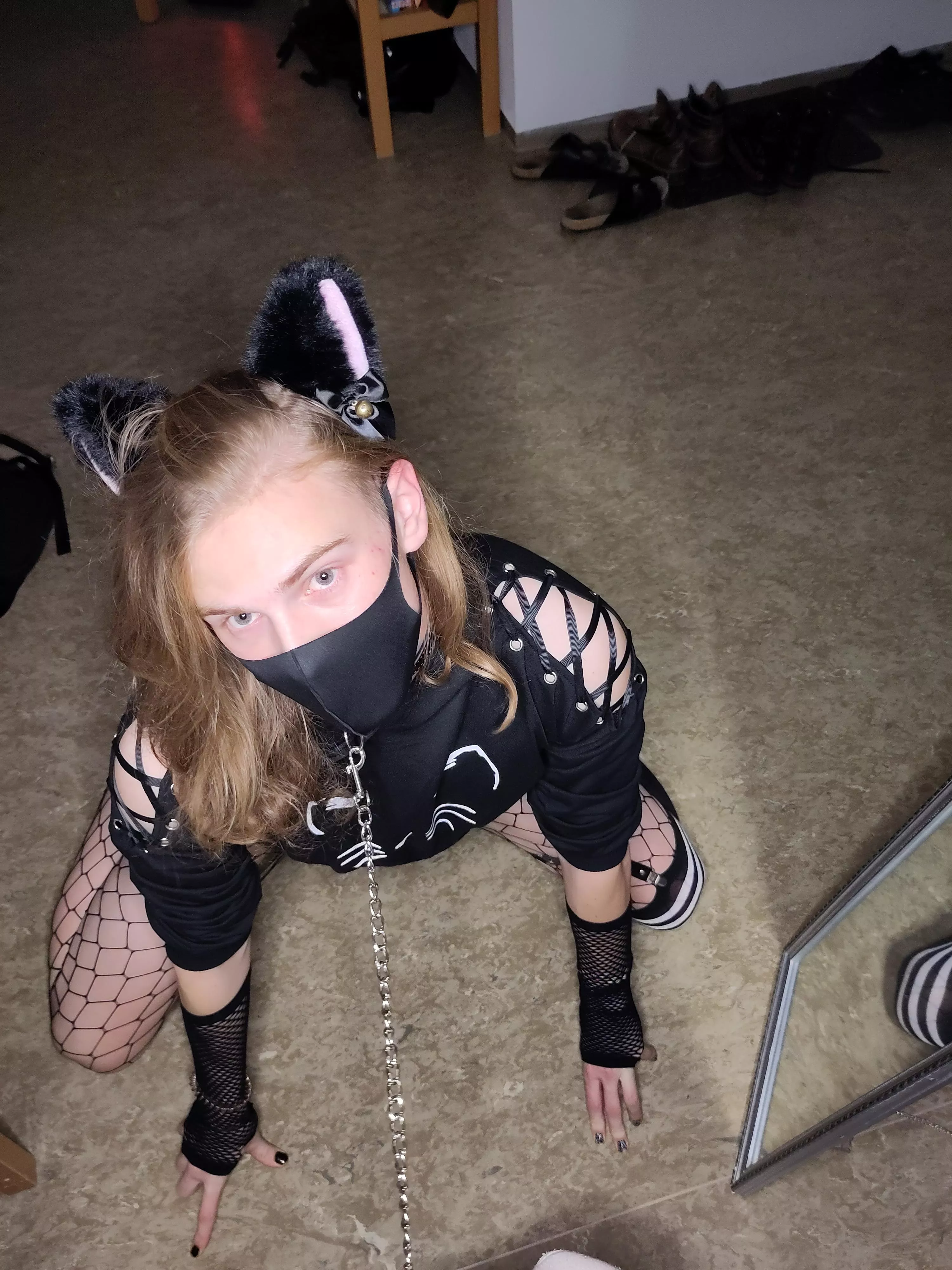 Would you take your Kitten for a walk?