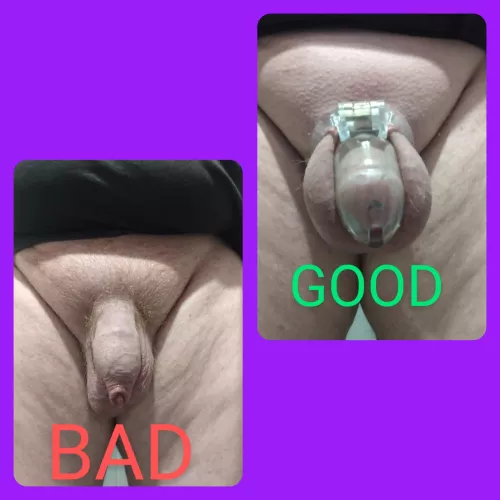 A good boy always locks when Mummy tells him to