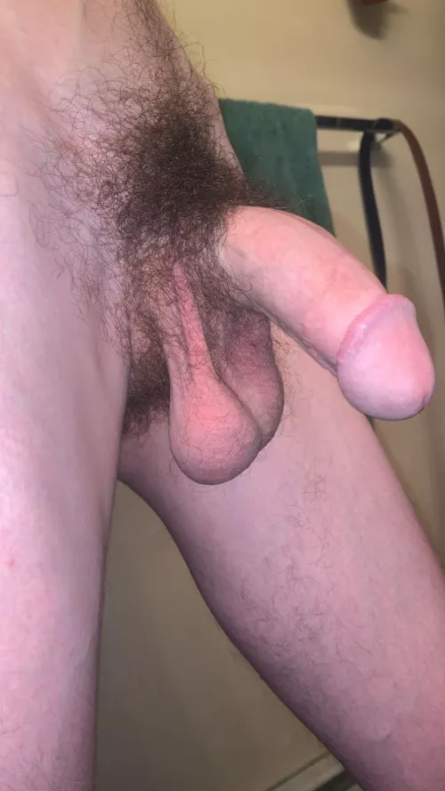 Anybody wanna come empty these??🤭