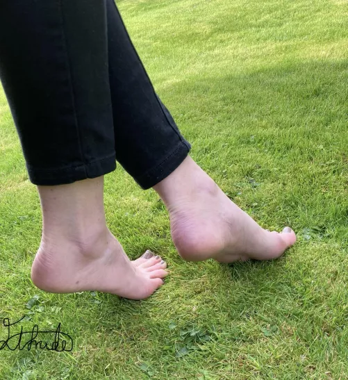 Bare feet in the grass