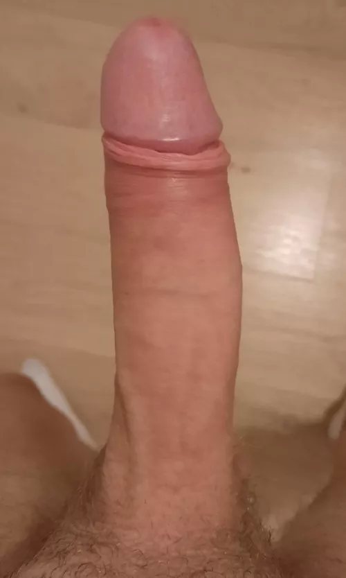 Do you like my cock?