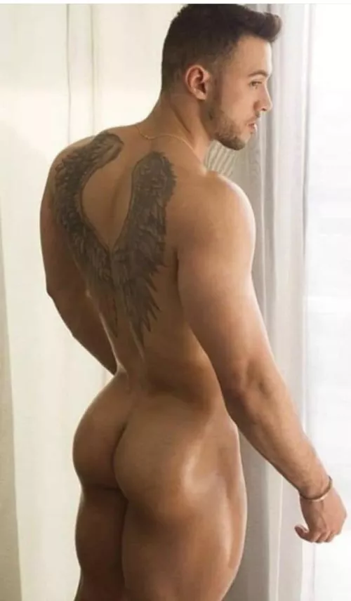 Hollister Tightass Angel