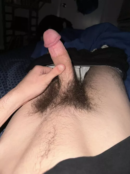 I think my bush is coming in pretty nice.