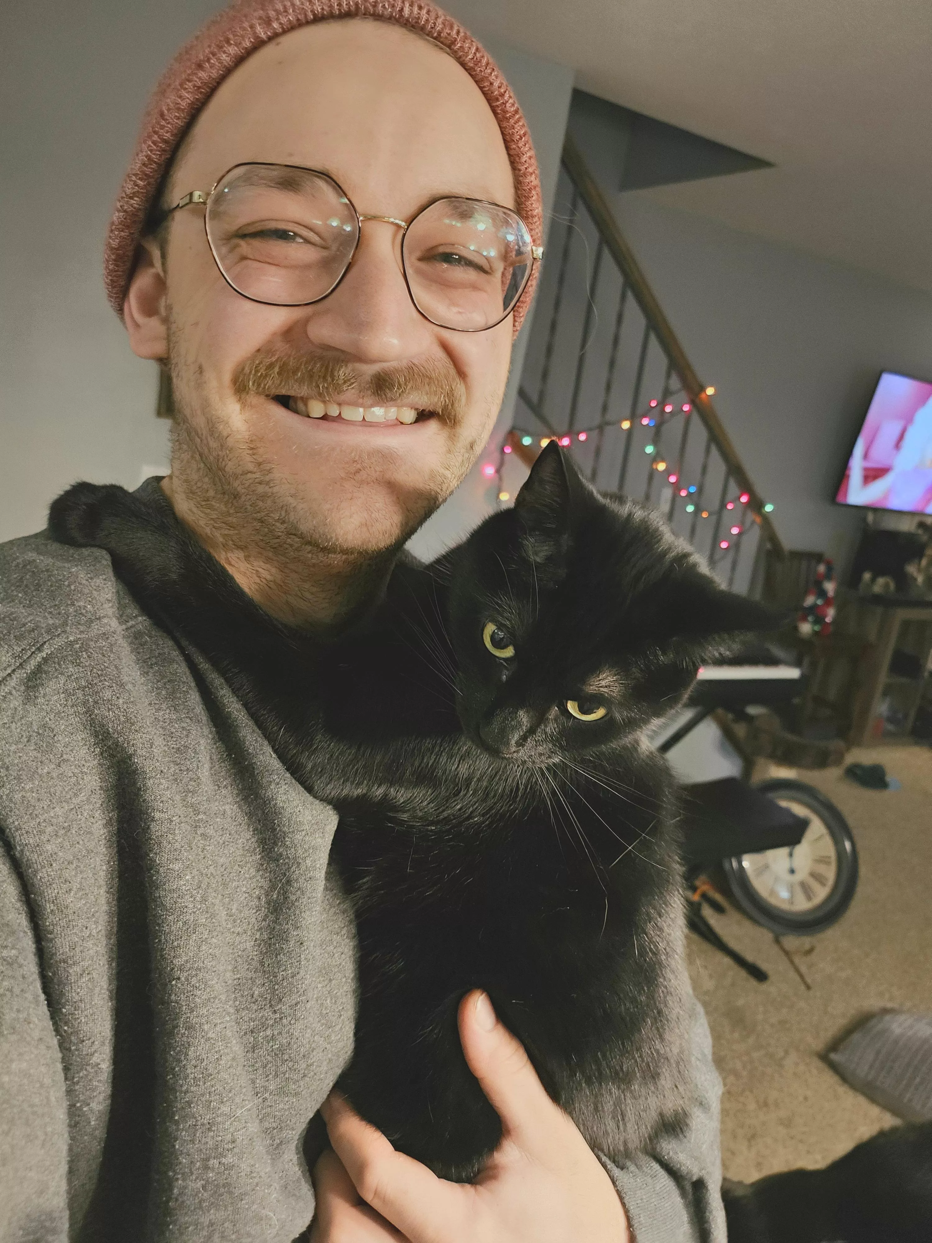 Needed some good kitty cuddles after a crazy work weekend! Needed some good kitty cuddles after a crazy work weekend!