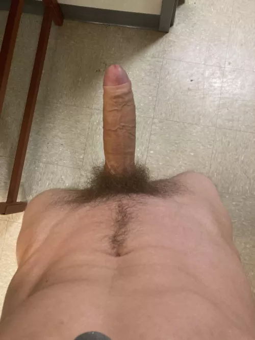 should i trim the bush a little?