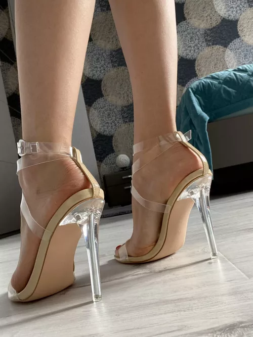 You must admit they are very elegant