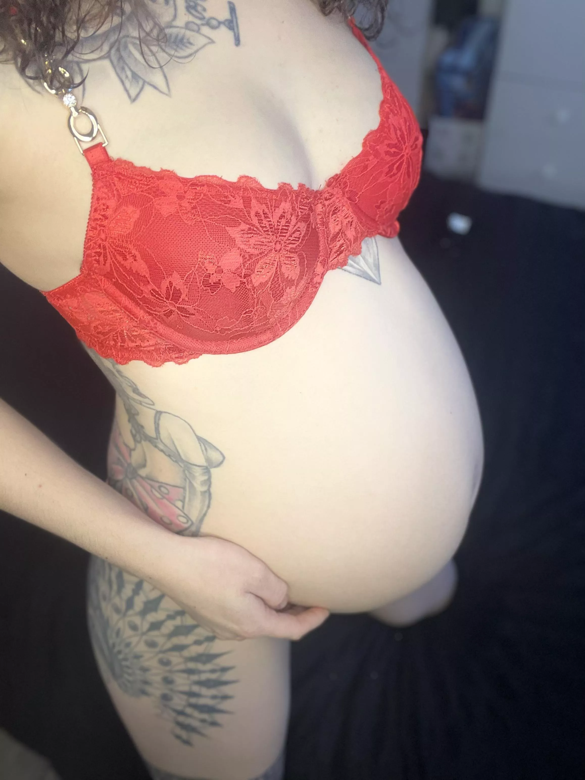 2nd pregnancy this year… I can’t stop breeding