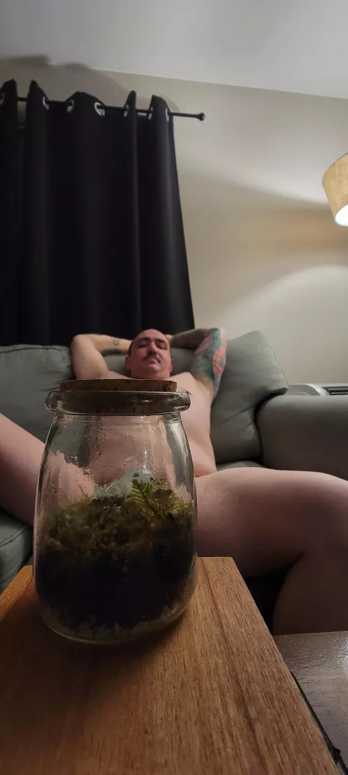 A little nature at home [wa]