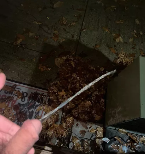 First one was for me, now showing off