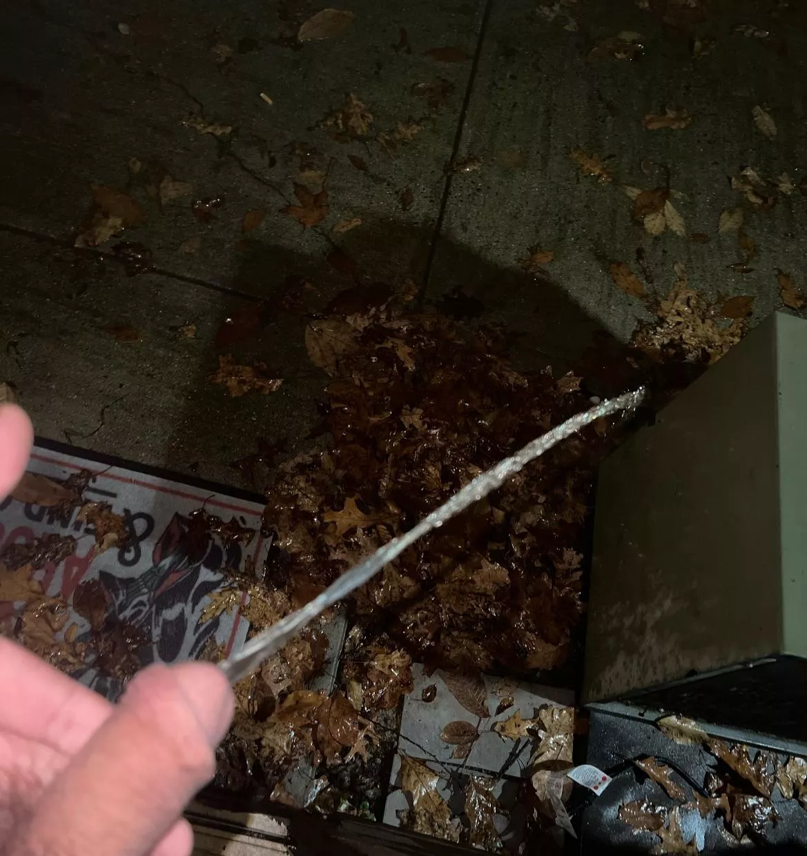 First one was for me, now showing off