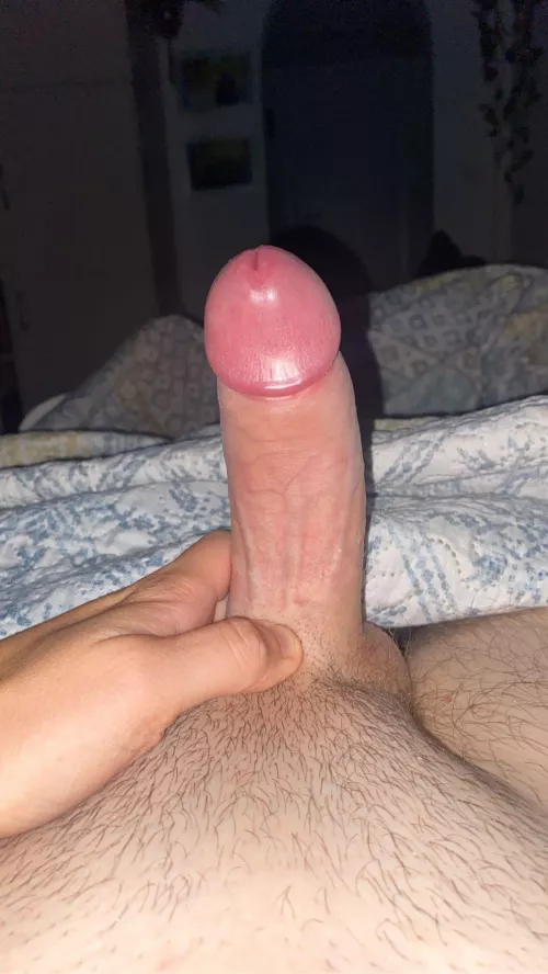 Honestly, is it fuckable or too small?