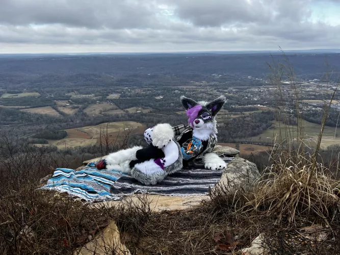 My Tail keeps me warm