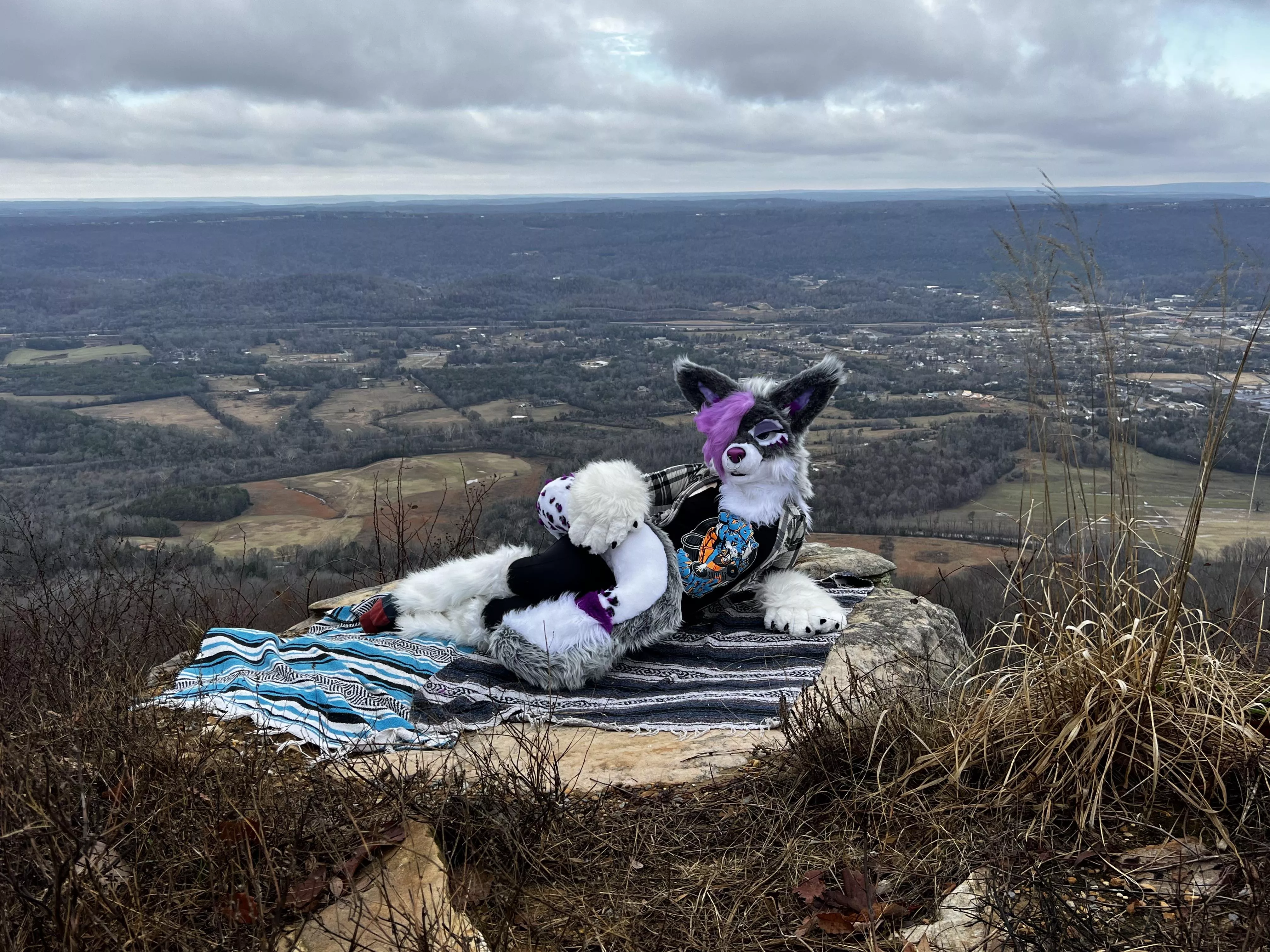 My Tail keeps me warm