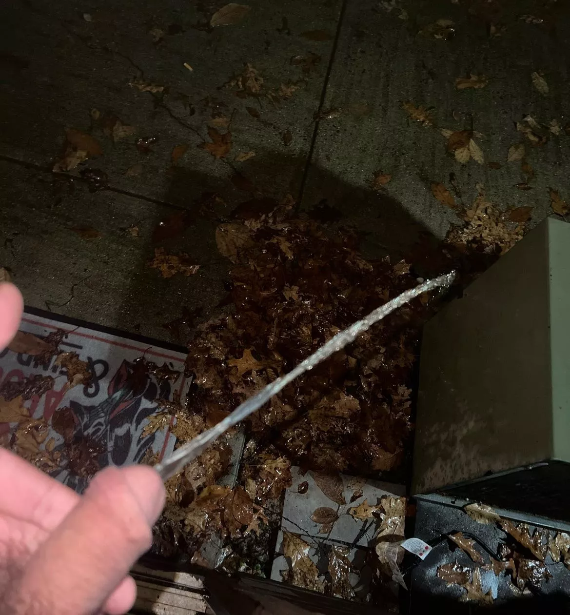 One for me, one to show off