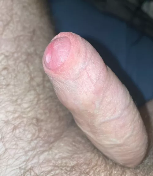 Precum Drip