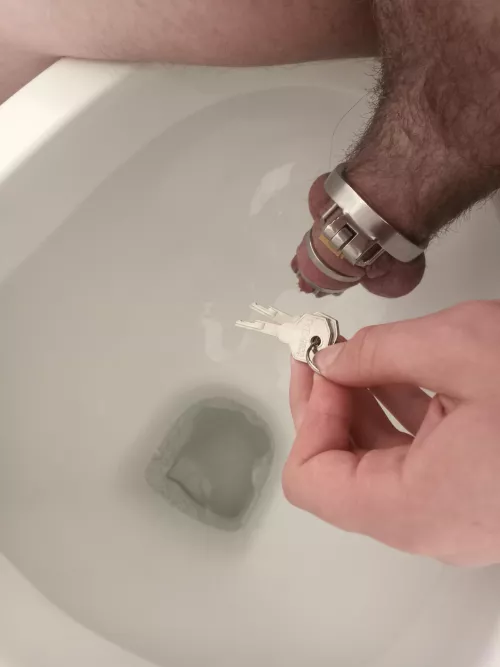 Should I let my impulsive Thoughts win?