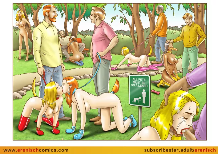 Taking dogs for walks