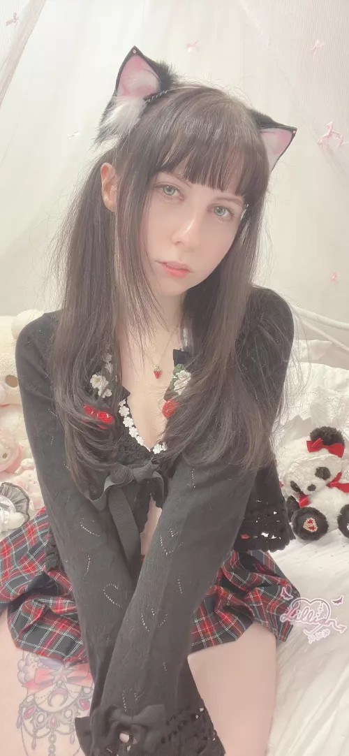 would u take care of this kitten?🥺