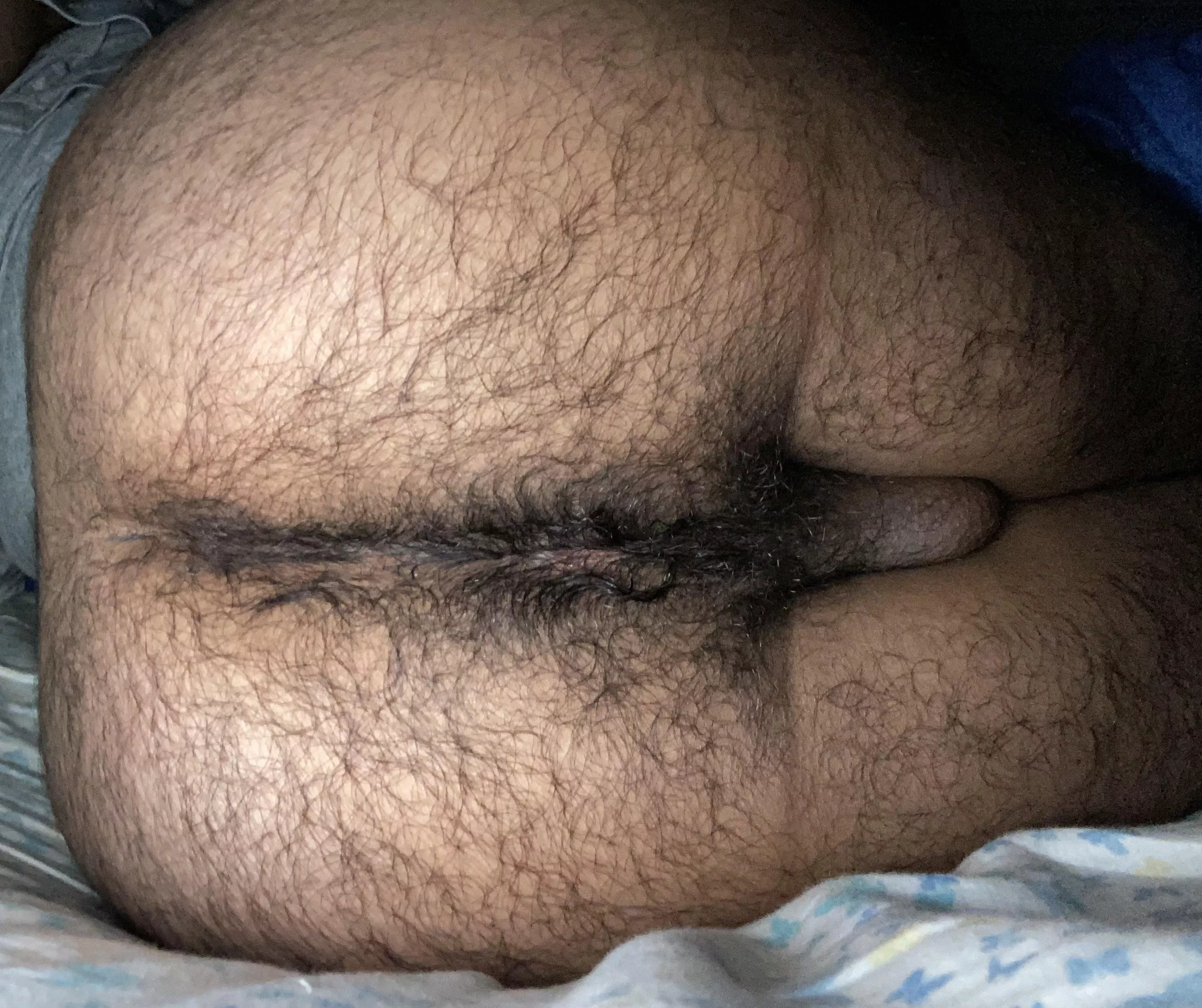 [19] Hairy enough?