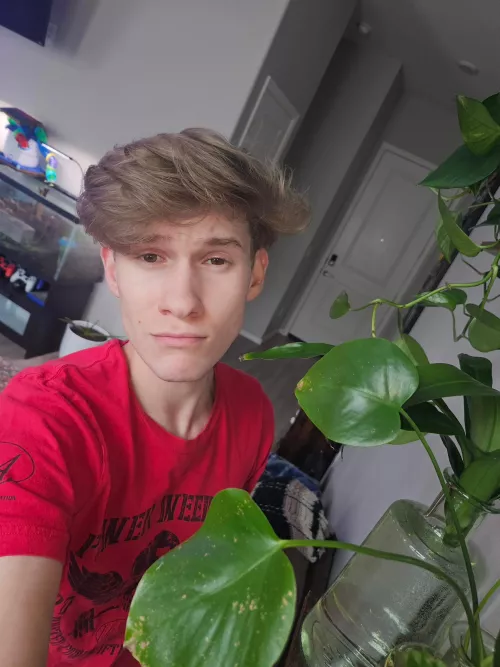 22m looking for bro into ballbusting