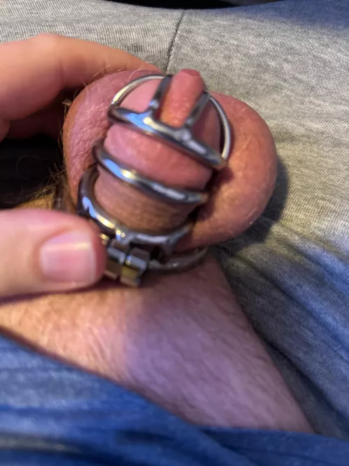 41 locked fag about to insert a plug for the first time HMU if you want to watch me put it in.