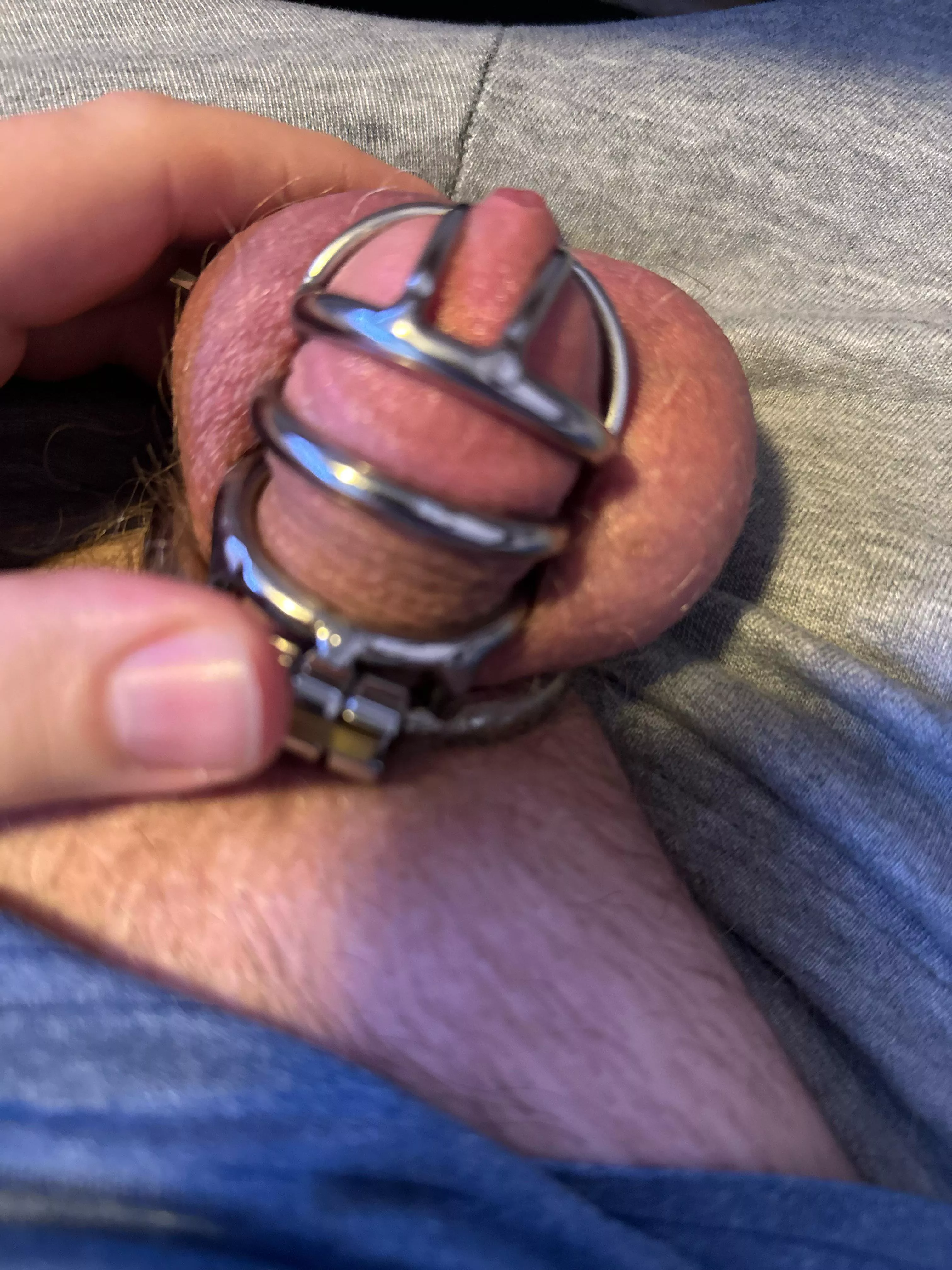 41 locked fag about to insert a plug for the first time HMU if you want to watch me put it in.