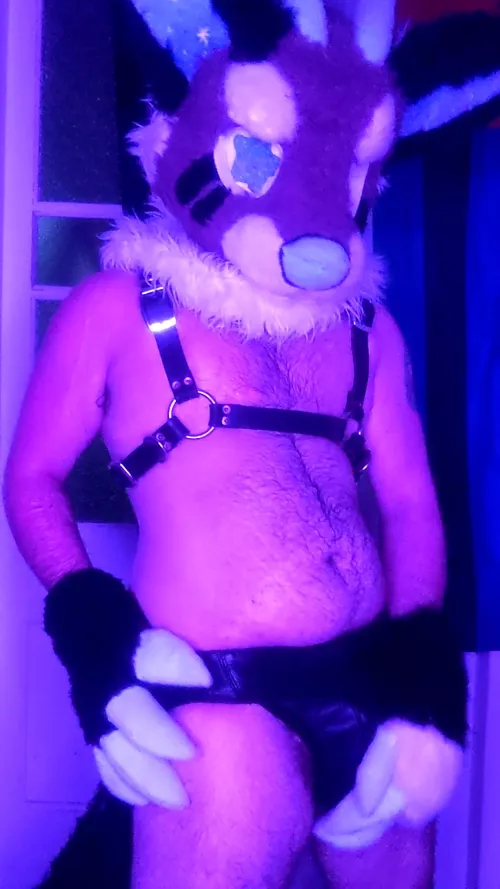 Been nursing this bulge a while now...