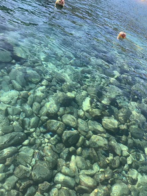CRYSTAL CLEAR WATER OF A BEACH IN VENEZUELA