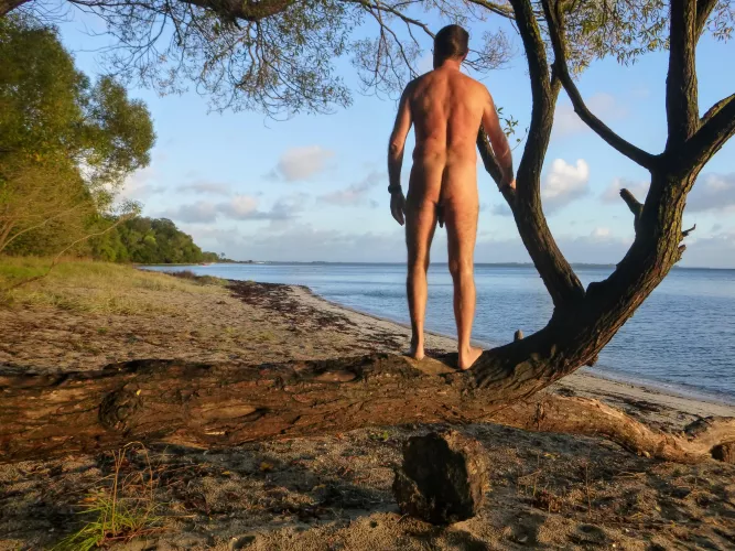 Early bird gets the beach to himself