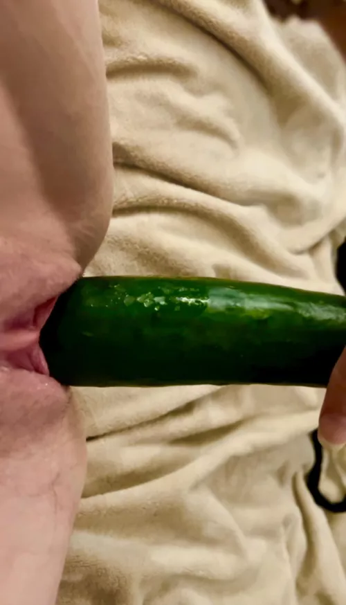 Fucking my freshly creampied pussy with a cucumber 🥒