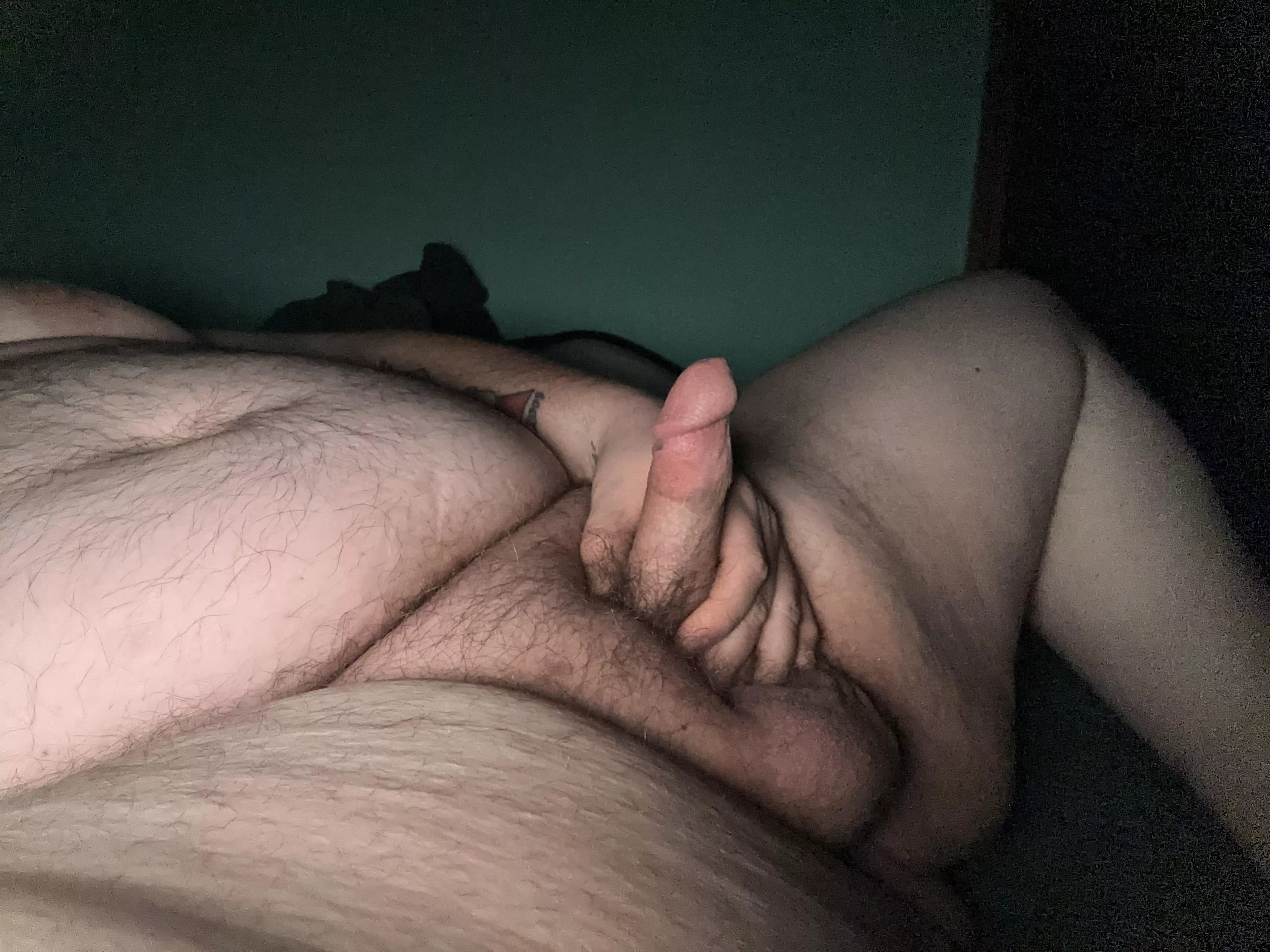 Hard chub cock