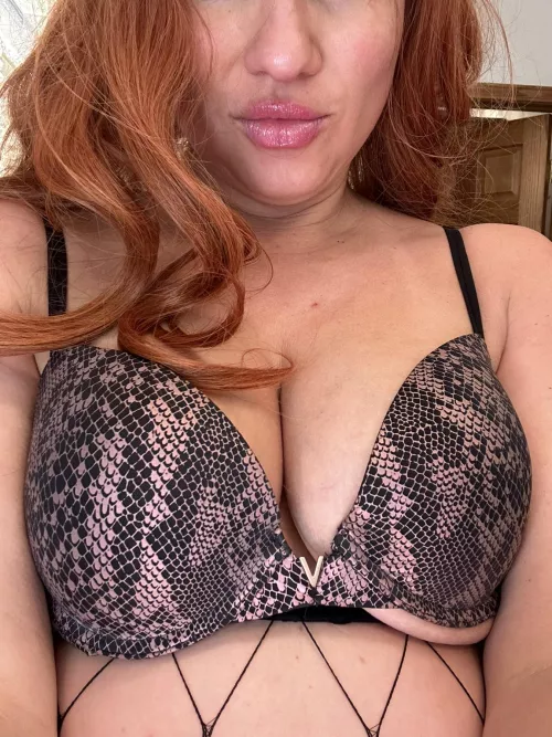 I Always Thought This Was Cute. [IRTR]