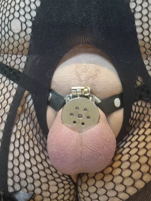 I guess i should go inverted since this feels too big for my clitty 🤭