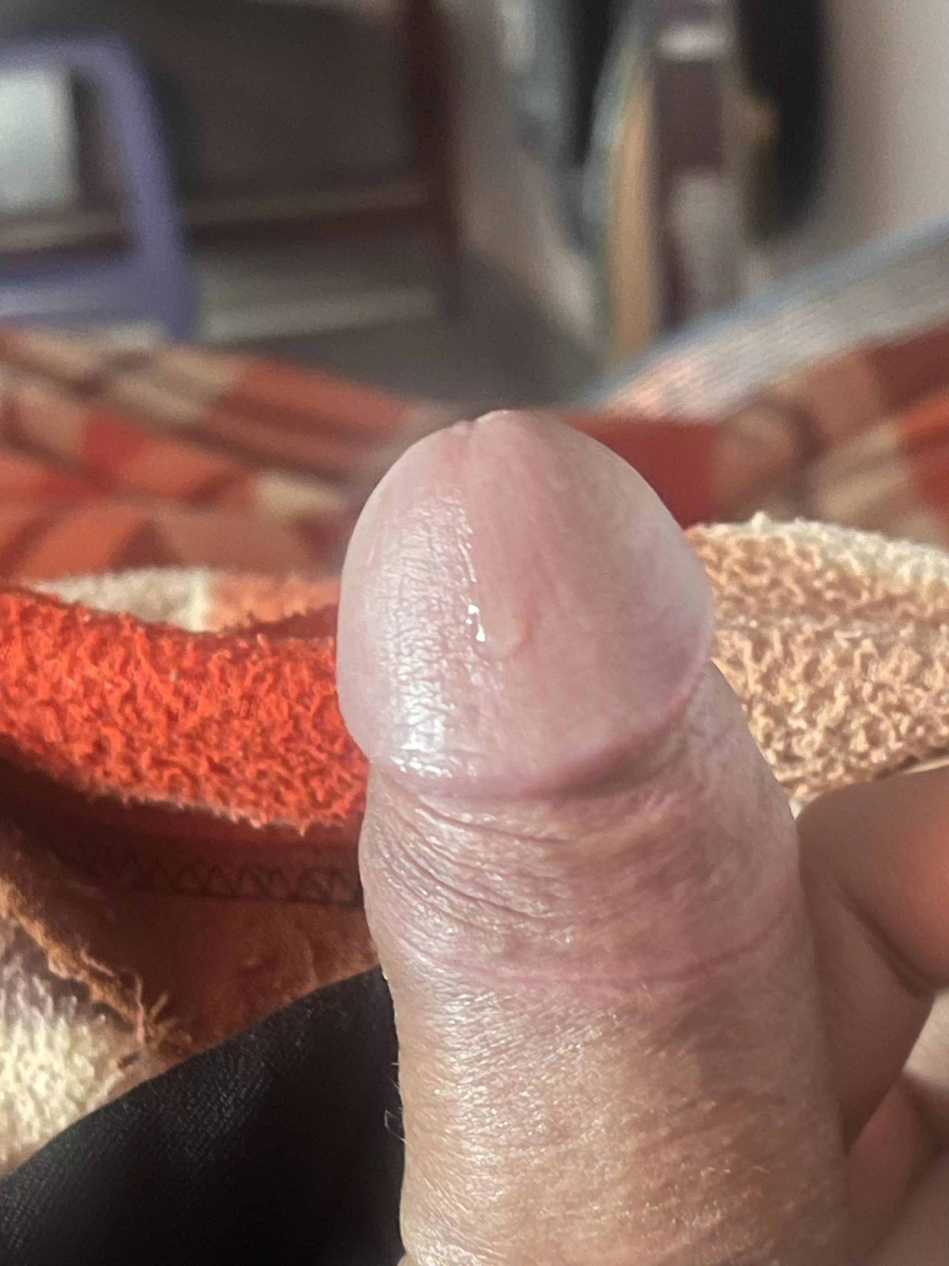 My cock was aroused, then I got busy and opened it and it was soft