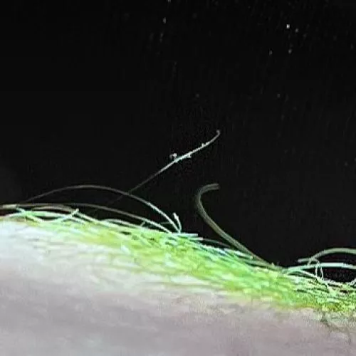 Thank you for electric lizard color recommendation- it’s exactly as bright as I wanted 💚