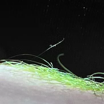 Thank you for electric lizard color recommendation- it’s exactly as bright as I wanted 💚