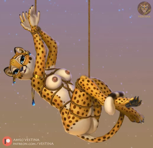 (Vestina) [F] Wrapped for you.