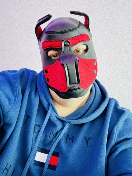 Wruff 🐕 Good Morning Pups 🐶
