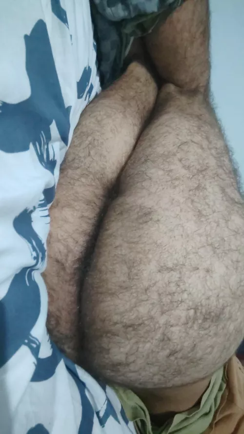 Do u want a hairy ass?